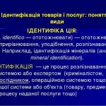 img1